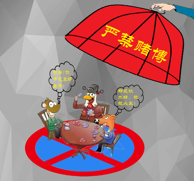 图片8