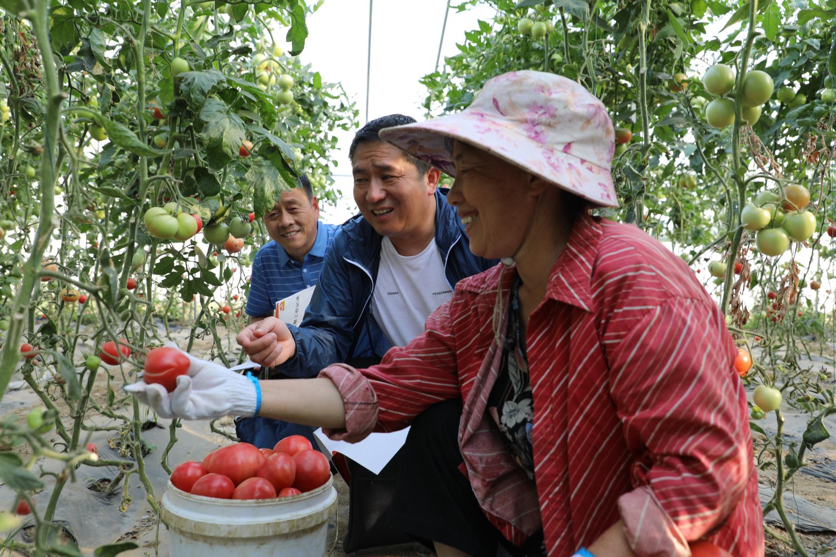 微信图片_20200603092432