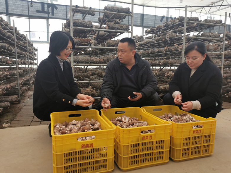 微信图片_20211209113850_副本